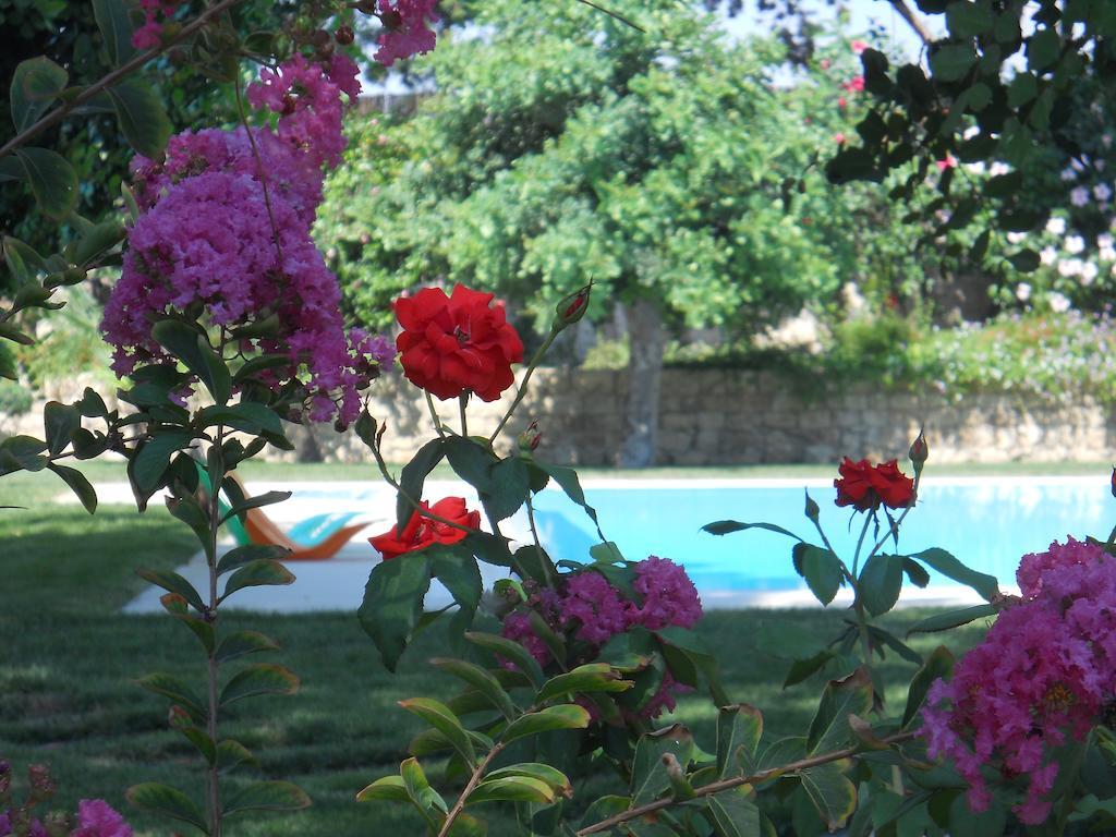 Il Giardino Dei Carrubi Villa Доналуката Стая снимка